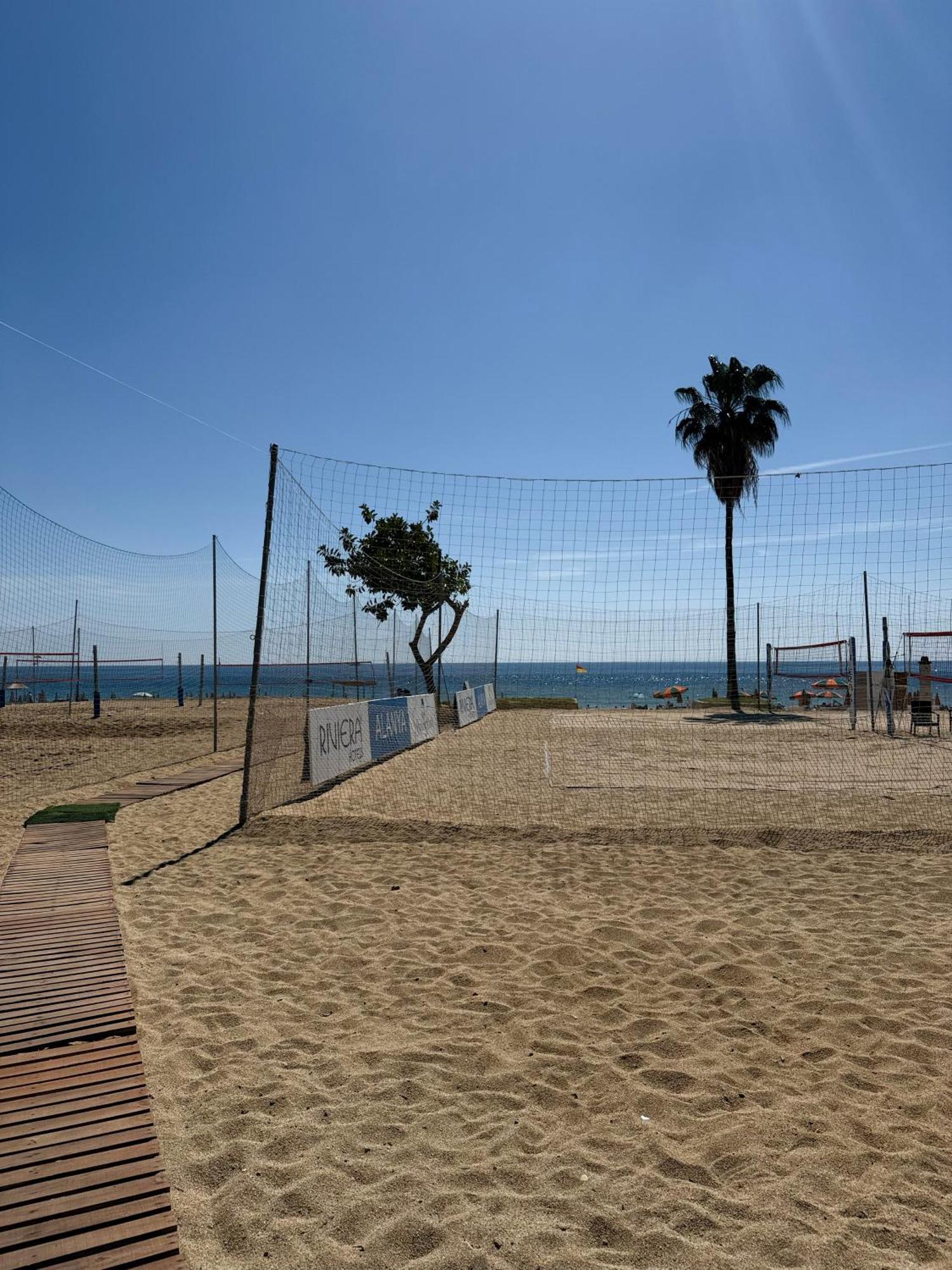 Sa Apartments! 150m To The Cleopatra Apartment *